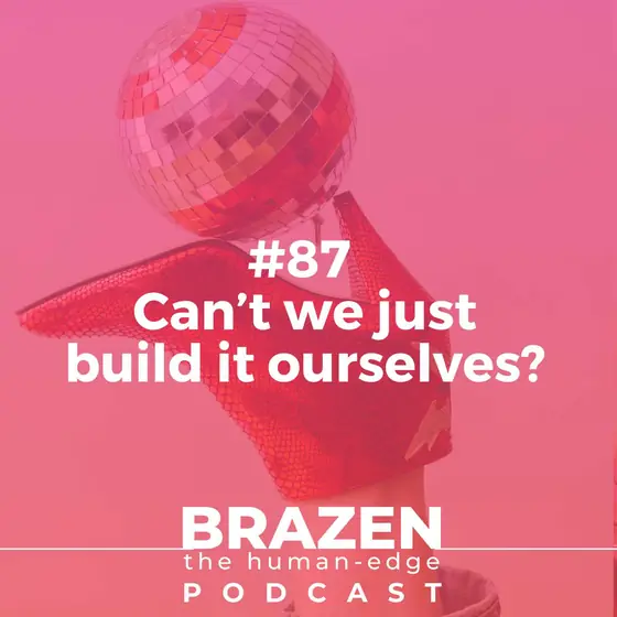 Cover of episode 87: Can't we just build it ourselves?