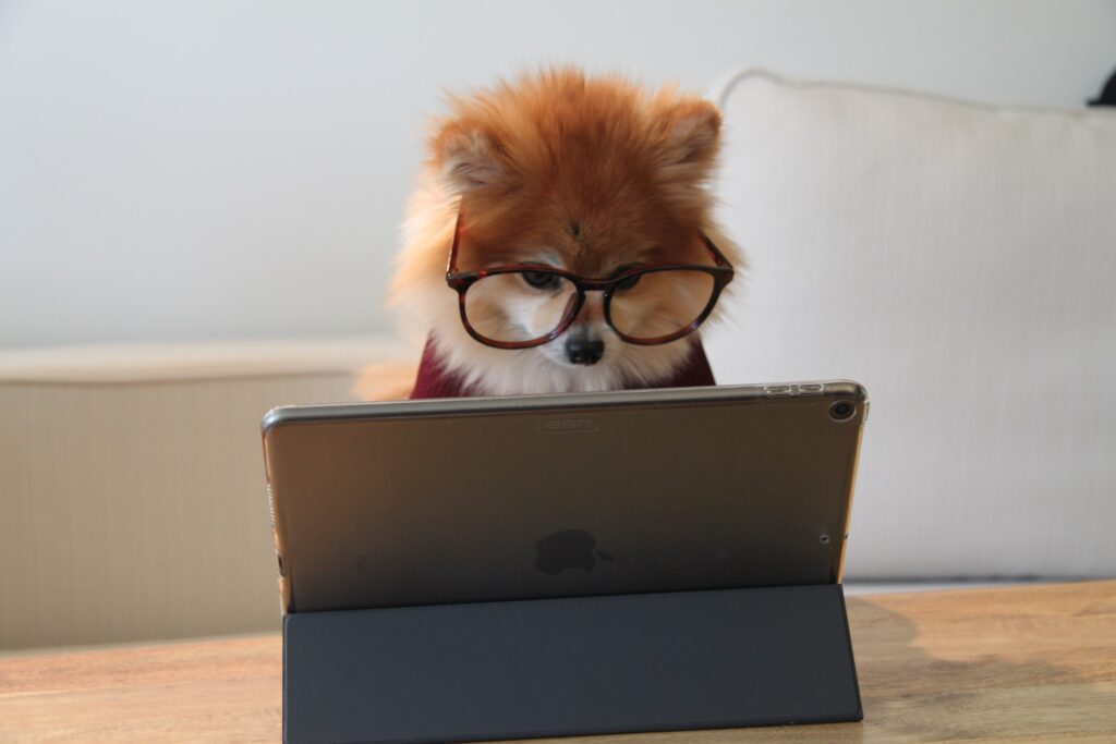 Telecommuting - Stay-at-home order